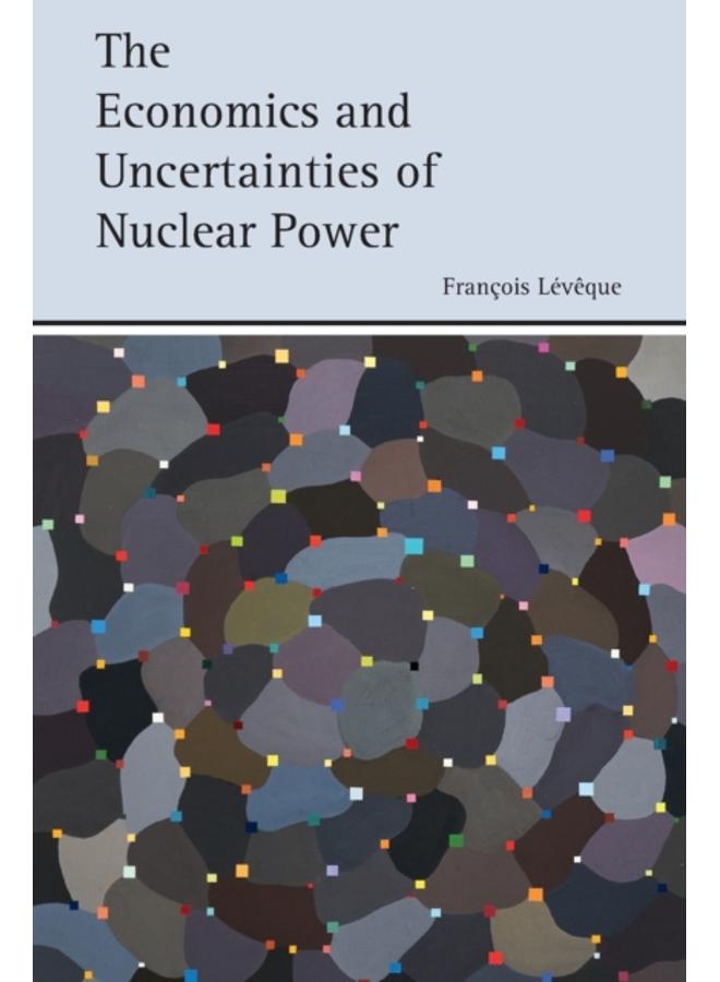 The Economics and Uncertainties of Nuclear Power 