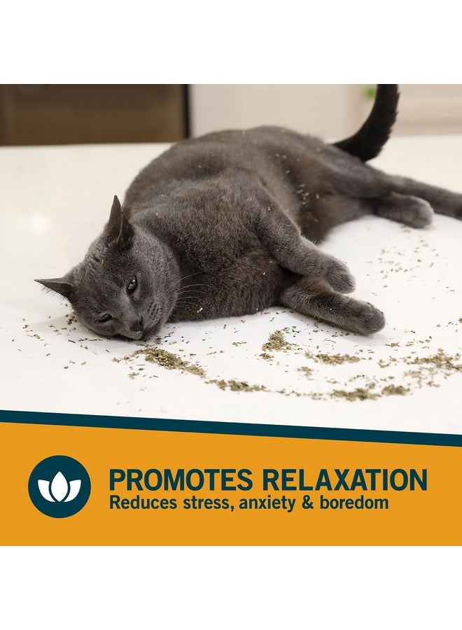Our Pets OurPet's Premium Catnip - 2.25 oz Jar of High Potency Catnip - 100% North American Grown - Image 3