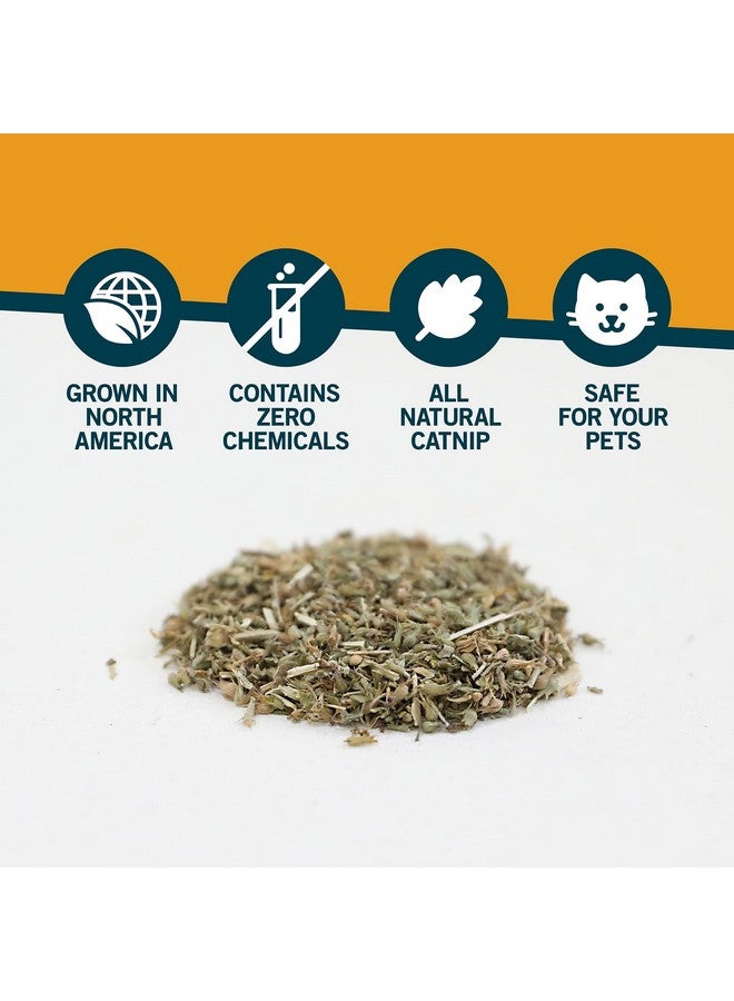 Our Pets OurPet's Premium Catnip - 2.25 oz Jar of High Potency Catnip - 100% North American Grown - Image 4