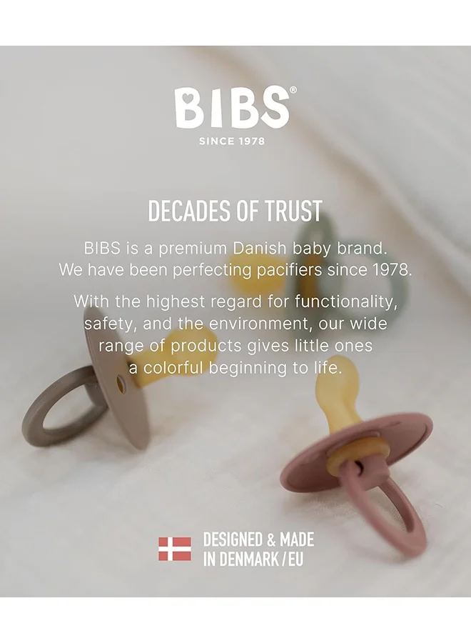 BIBS Set of 2 Pacifiers, Natural Rubber Baby Pacifier, Bpa - Free Soothers, Made In Denmark, Sage/Ivory, Size 6 - 18 Months