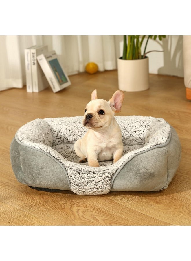 Dog Beds Small Medium Large Size Dog, Cat Beds for Indoor Cats Washable, Rectangle Calming Sleeping Warming Orthopedic Puppy Dog Beds, Non-Slip Bottom Breathable Soft Couch - pzsku/ZE0F5AA61452AFF821CA3Z/45/_/1737031615/48bdc93f-a19e-447e-aa9e-28f560998eaa