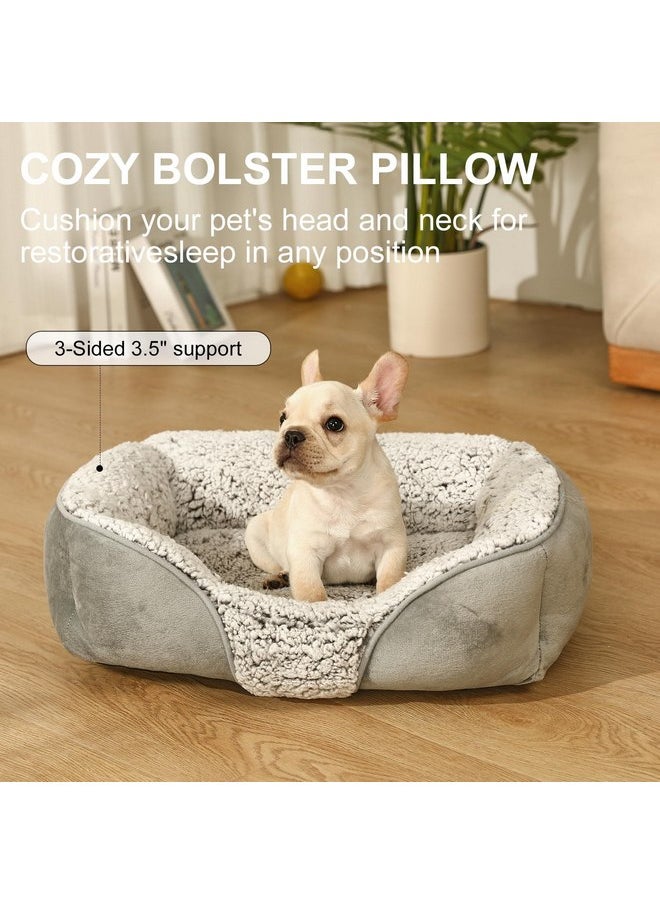 Dog Beds Small Medium Large Size Dog, Cat Beds for Indoor Cats Washable, Rectangle Calming Sleeping Warming Orthopedic Puppy Dog Beds, Non-Slip Bottom Breathable Soft Couch - pzsku/ZE0F5AA61452AFF821CA3Z/45/_/1737031628/9c7d3131-57e9-4900-a679-b76c8cf55f52