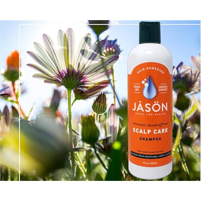 Jason Dandruff Relief Treatment Shampoo, 12 Fl oz - Image 2