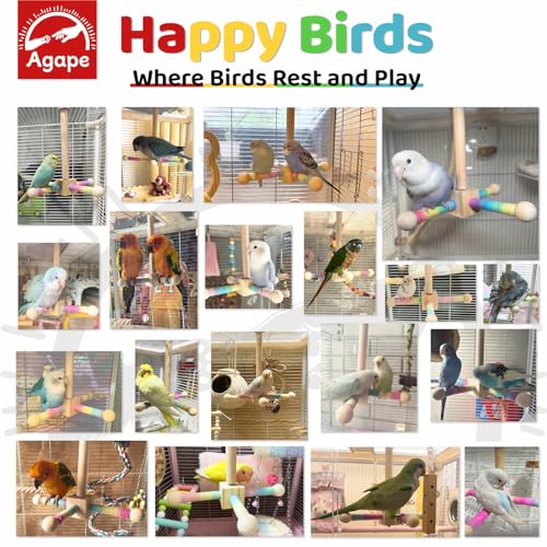 Agape Bird Toy, Parrot 360° Interactive Rotating Perch, Bird Cage Accessories for Small and Medium Parrots to Expend Energy, Wooden Stand for Parakeets Cockatiels Lovebirds Conures Finches Budgies - Image 5