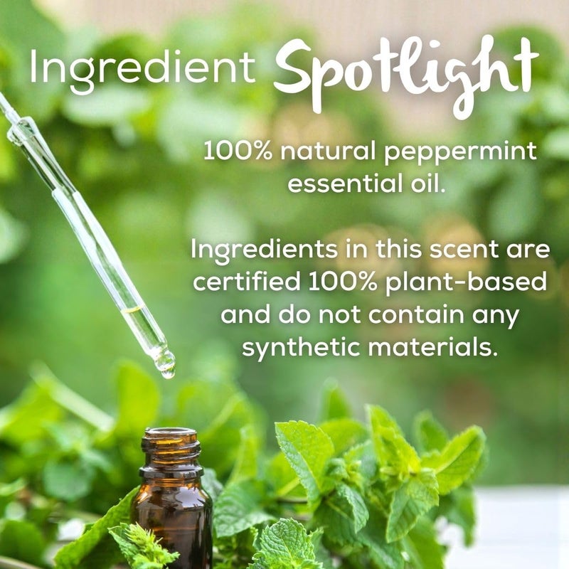 Scent Fill 100% Natural Peppermint Plug in Air Freshener, Scented Oil Refills, 2 Refills + Diffuser - Image 4
