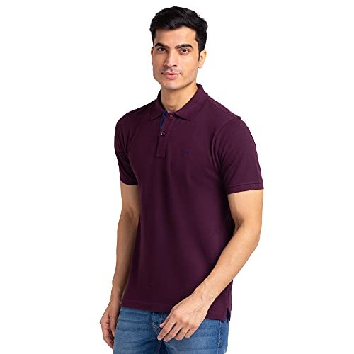 Raymond Men Regular Fit Solid Polo T-Shirt | 100% Pure Cotton | Casual Half Sleeve Tee | Fancy Maroon - Image 3
