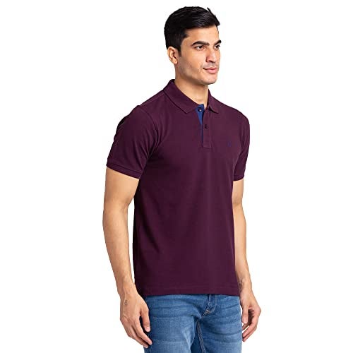 Raymond Men Regular Fit Solid Polo T-Shirt | 100% Pure Cotton | Casual Half Sleeve Tee | Fancy Maroon - Image 2
