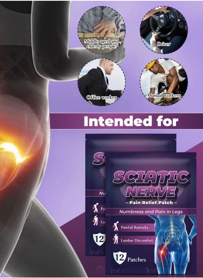 Sumifun - 12 Pcs Sciatic Nerve Pain Relief Patch Multifunction High Potency Pain Reducing Patch Heat Patches for Sciatic Nerve Pain Sciatica Pain Relief Ointment Plasters - Image 1