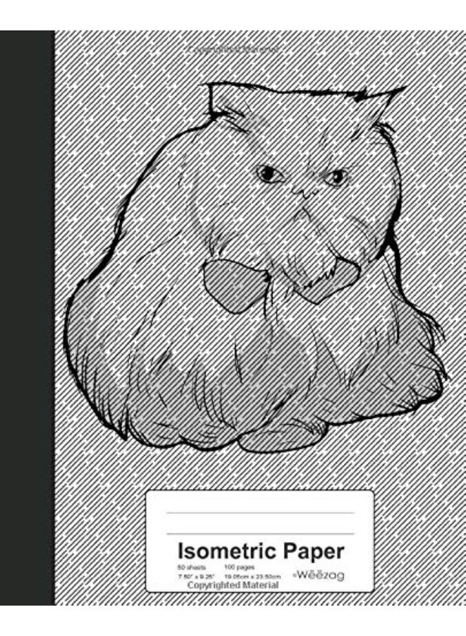 Isometric Paper: Book Himalayan Cat (Weezag Isometric Paper Notebook) - Image 1