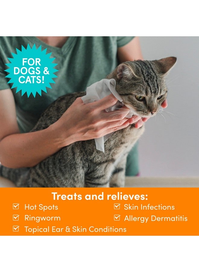 Nootie Medicated Dog Wipes, 2% Chlorhexidine and 2% Miconazole Formulated Pet Wipes for Dogs and Cats - 5"x 6" Size XL Wipes - 70 Count - Sold in Over 10,000 Vet Clinics and Pet Stores Worldwide - Image 4