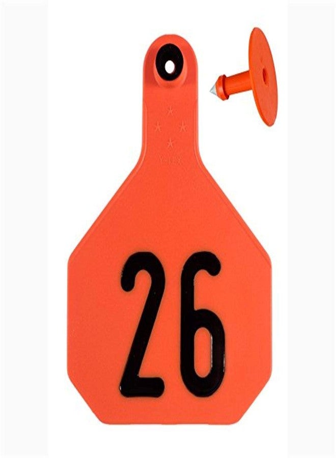 Y-TEX 29569032OR Tag & Button 4 Star (26-50) Orange