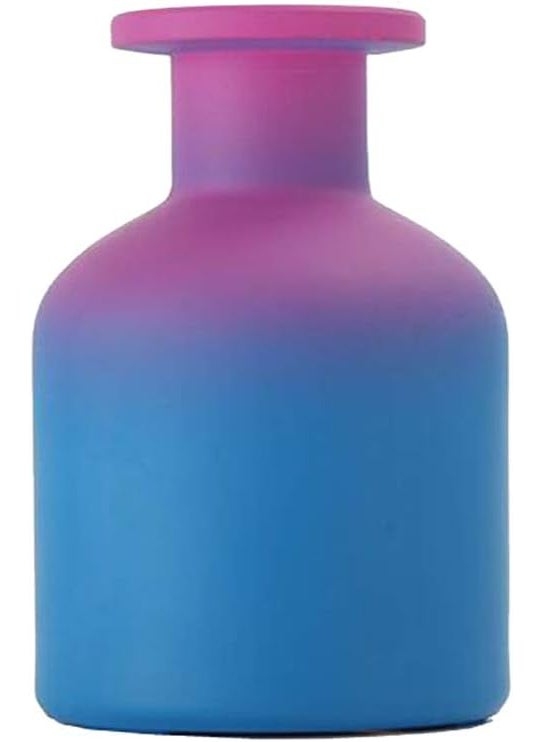 erioctry erioctry 1PCS 150ml/5oz Glass Diffuser Bottle Aromatherapy Jar Exquisite Essential Oils Container Fragrance Accessories Use for DIY Diffuser Sticks Essential Oils Crafts Decor Gift 