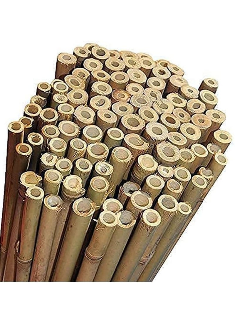 Generic - FFD 5pcs Natural Bamboo Poles Bamboo Stake for Plant Support 120 cm Bamboo Garden Poles Strong Gardening Sticks Bamboo Poles for Indoors or Outdoors - Image 1