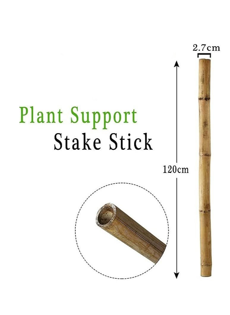 Generic - FFD 5pcs Natural Bamboo Poles Bamboo Stake for Plant Support 120 cm Bamboo Garden Poles Strong Gardening Sticks Bamboo Poles for Indoors or Outdoors - Image 1