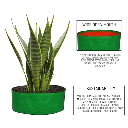 MASHKI HDPE Grow Bags for Terrace Gardening, Ideal for Growing Vegetable Plants Like Spinach and Palak. (Size 10x6 inch 5nos) - Image 2