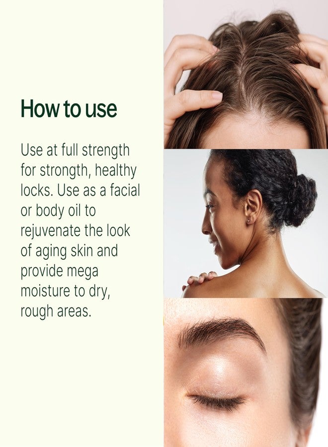 Plant Therapy Organic Argan Oil 16 oz Carrier for Skin and Hair Supports Moisturization Anti Aging and Nails Cold Pressed Pure USDA Certified - Image 2