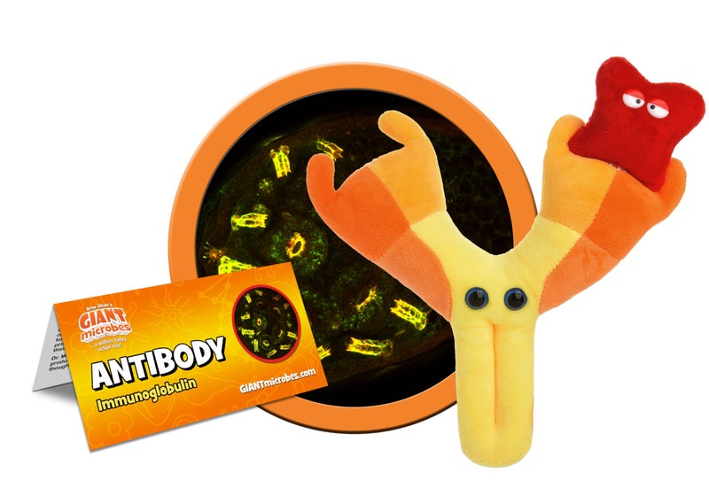 Giant Microbes GIANTmicrobes Antibody Plush, Blood Bank, Hematology Gifts, Infectious Disease Doctor Gift, Get Well Gifts, Blood Cells. Pharmacist Gift - Image 2