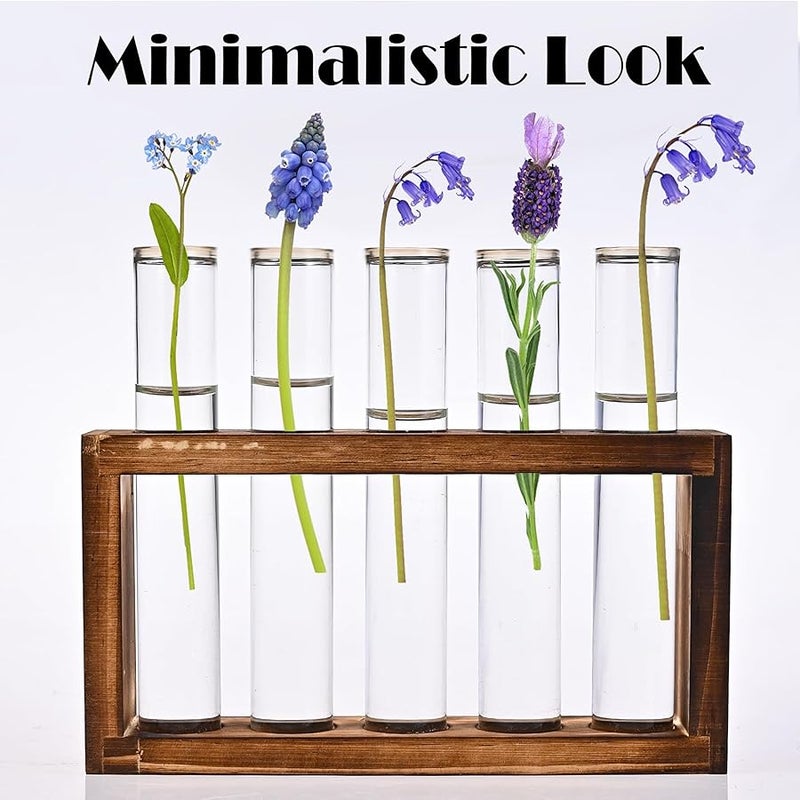 Tigvio Desktop Glass Plant Propagation Station with 5 Test Tubes in Wooden Stand - Hydroponic Plants Cutting Office Home Decoration and Garden Decor Terrarium (5 Tubes) - Image 3