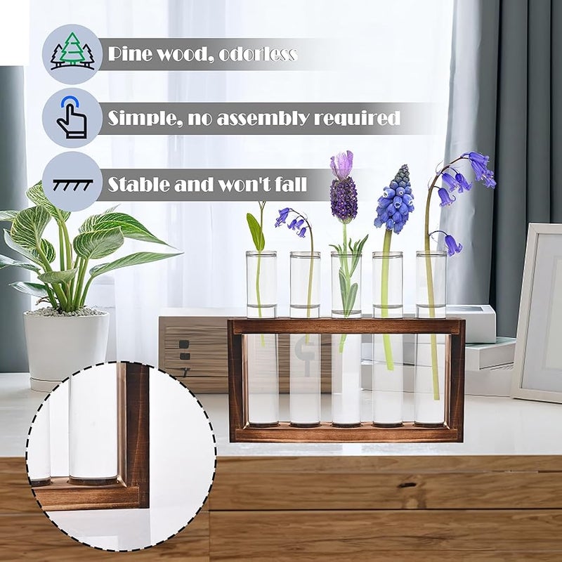Tigvio Desktop Glass Plant Propagation Station with 5 Test Tubes in Wooden Stand - Hydroponic Plants Cutting Office Home Decoration and Garden Decor Terrarium (5 Tubes) - Image 5
