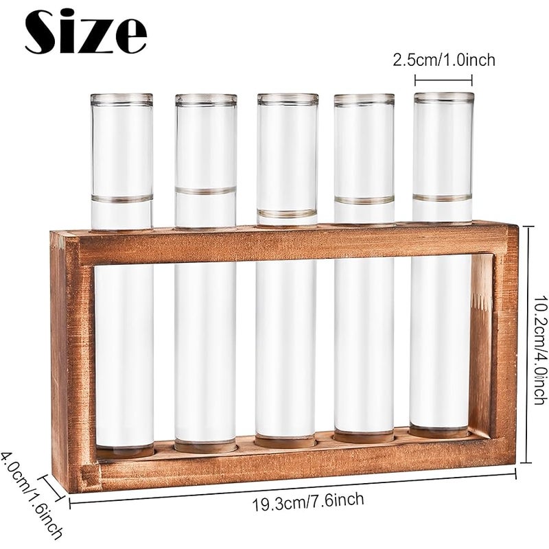 Tigvio Desktop Glass Plant Propagation Station with 5 Test Tubes in Wooden Stand - Hydroponic Plants Cutting Office Home Decoration and Garden Decor Terrarium (5 Tubes) - Image 2