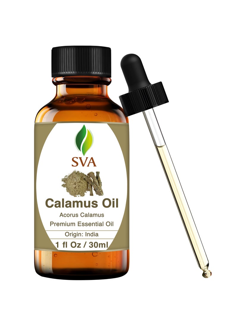 SVA Organics SVA Calamus Essential Oil – 1 Fl Oz – 100% Natural Calamus Oil - for Diffuser, Hair Care, Face, Skin Care, Aromatherapy, Scalp and Body Massage, Soap and Candle Making – with Dropper  - Image 1