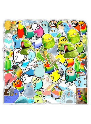 Colorful Bird