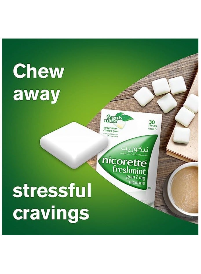 nicorette Gum 2 Mg Nicotine Gum Sugar-Free, Fresh Mint Flavour, 30'S - Image 3