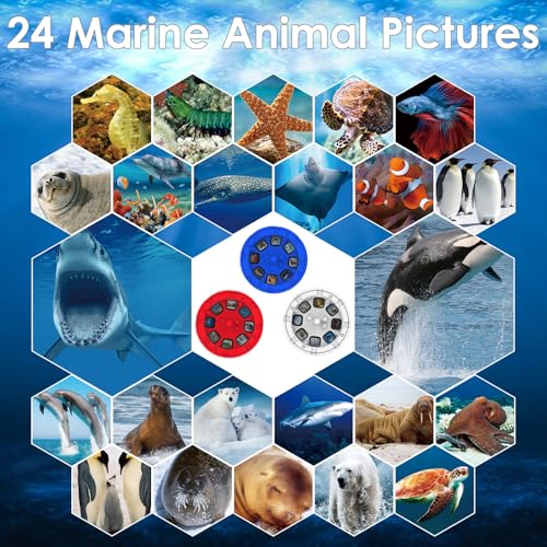 Pup Go Sea World Projector Flashlight for Kids Ages 3 4 5 6 7, with 3 Discs 24 Images, Sea Creatures Toys for Boys Girls, Shark Toy for Kid, Occean Night Light Projector, Shark Gifts Games for Kids - Image 4