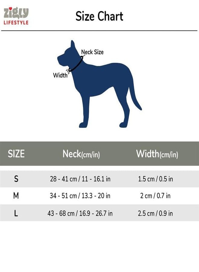 Zigly Tropical Tails Adjustable Dog Collar - Large | Durable Polyester | Secure Metal D-Ring | Ideal for Daily Use - Image 4
