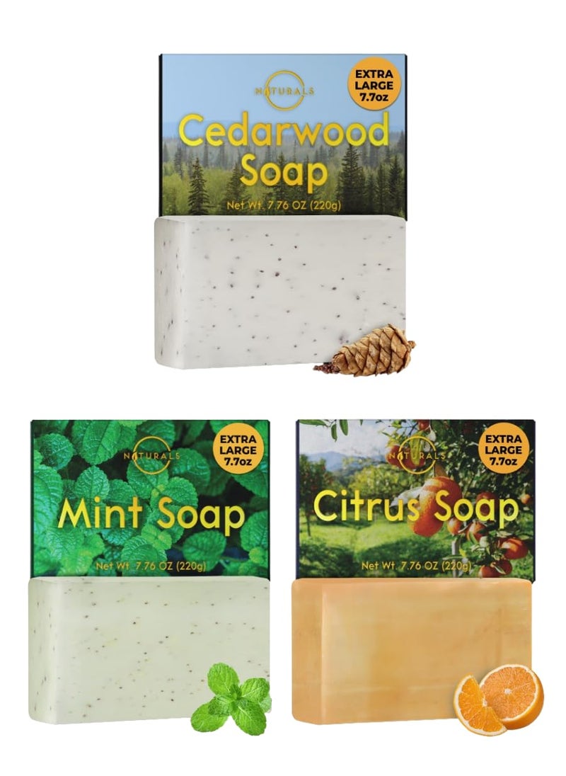 O Naturals - O NATURALS Exfoliating Soap Bar Cedarwood Mint Citrus Scent  Medium Grit Mens Soap Natural Exfoliating Bar Soap for Men  Organic Face Soap Bar Moisturizing Mens Face Bar Soap Mens Soap Bar - Image 1