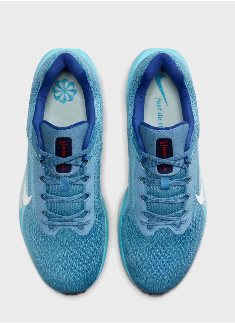 Nike Air Winflo 11