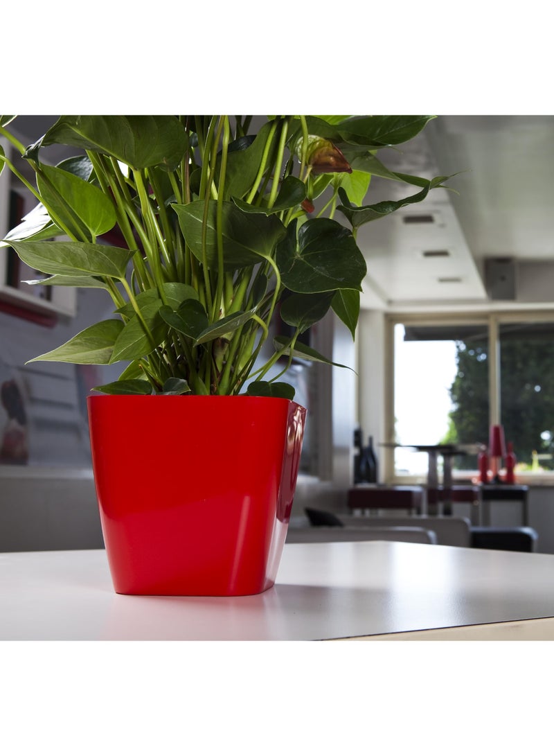 أيدل وعاء زهور بلاستيكي مربع - حاوية نباتات متينة 18 × 18 للاستخدام الداخلي والخارجي - وعاء حدائق زخرفي خفيف الوزن بألوان متعددة - مربع للعيش - صنع في إيطاليا - بواسطة إيديل - Image 2