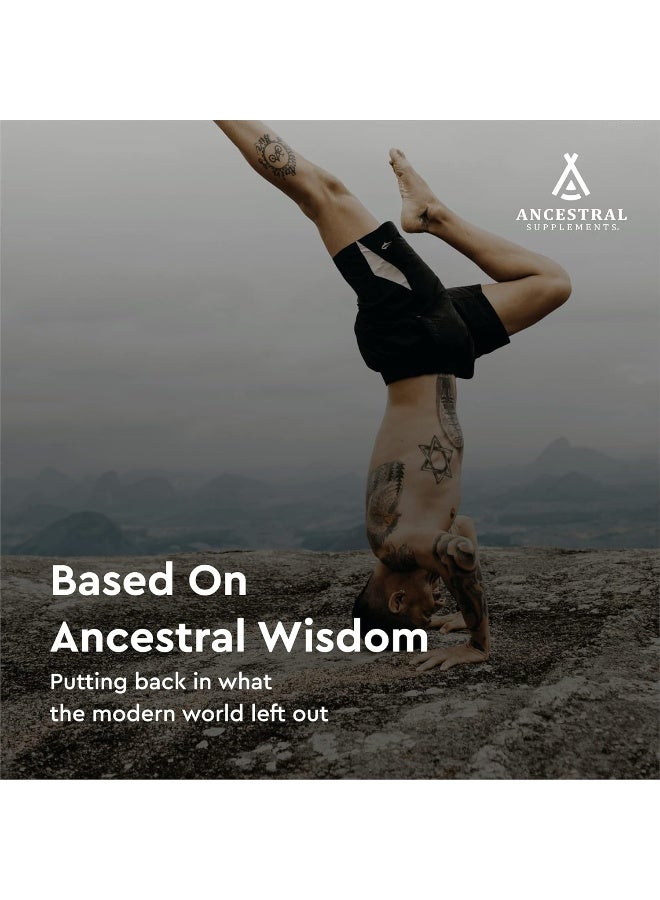 Ancestral Supplements Blood Vitality - Image 5
