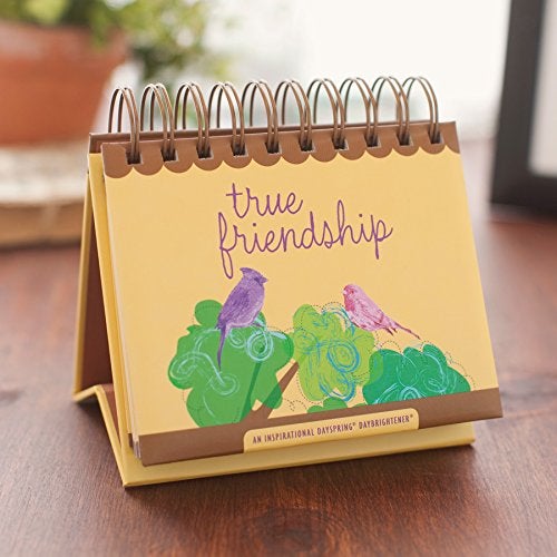Dayspring - True Friendship: An Inspirational DaySpring DayBrightener - Perpetual Calendar (48504) - Image 4