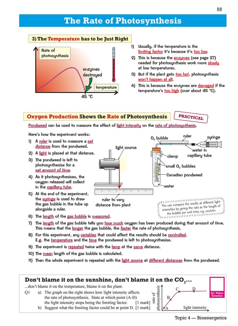 null - GCSE Biology AQA Revision Guide - Foundation includes Online Edition, Videos & Quizzes - Image 1