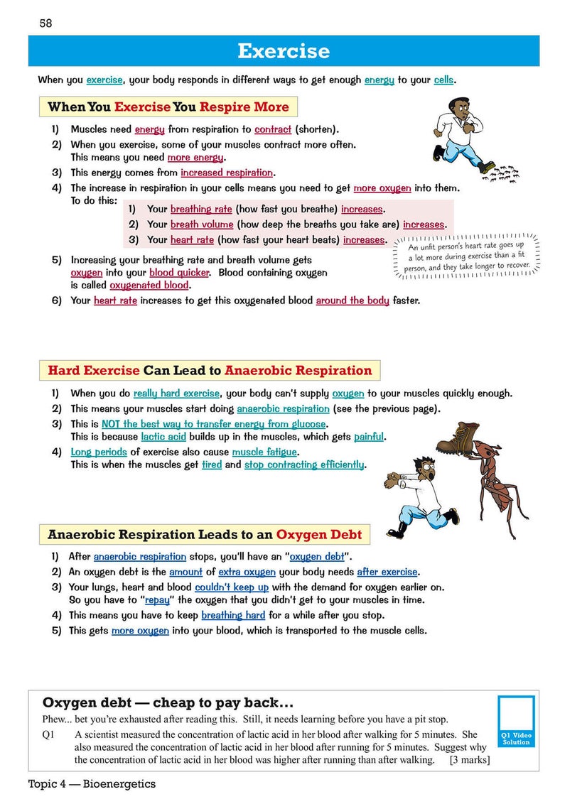 null - GCSE Biology AQA Revision Guide - Foundation includes Online Edition, Videos & Quizzes - Image 1