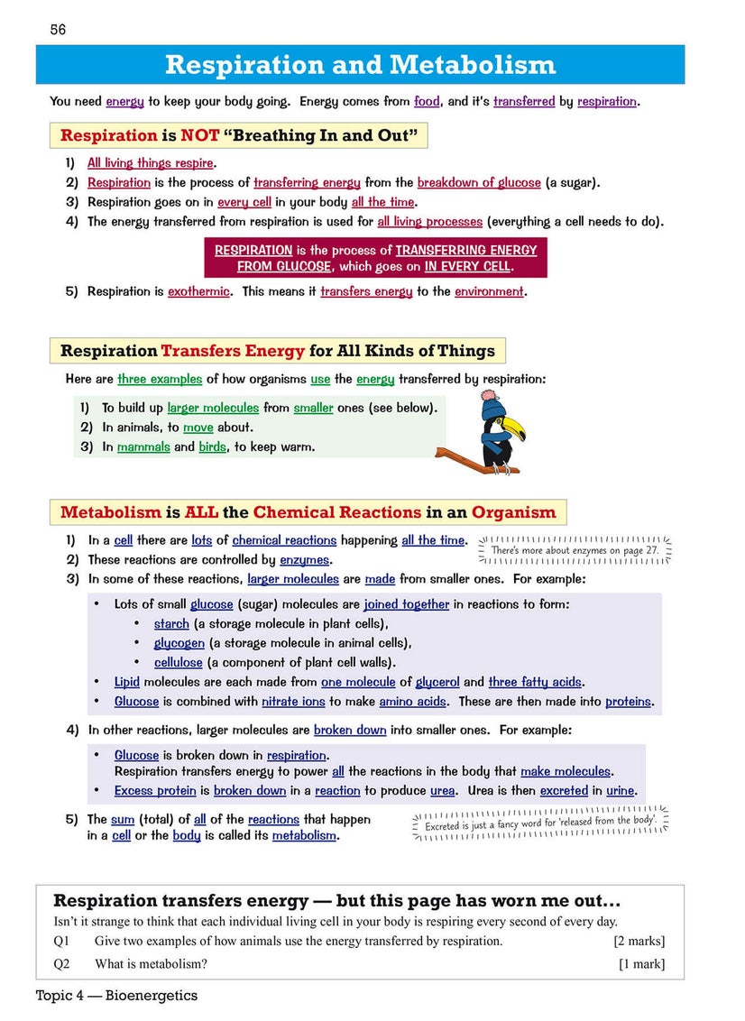null - GCSE Biology AQA Revision Guide - Foundation includes Online Edition, Videos & Quizzes - Image 1
