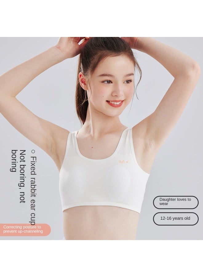 Top melon Back-shoulder Strap Type A 95% Cotton】children's Underwear Stage 2, 12-16 Years Old, Sports Anti-shock Bra - Image 2