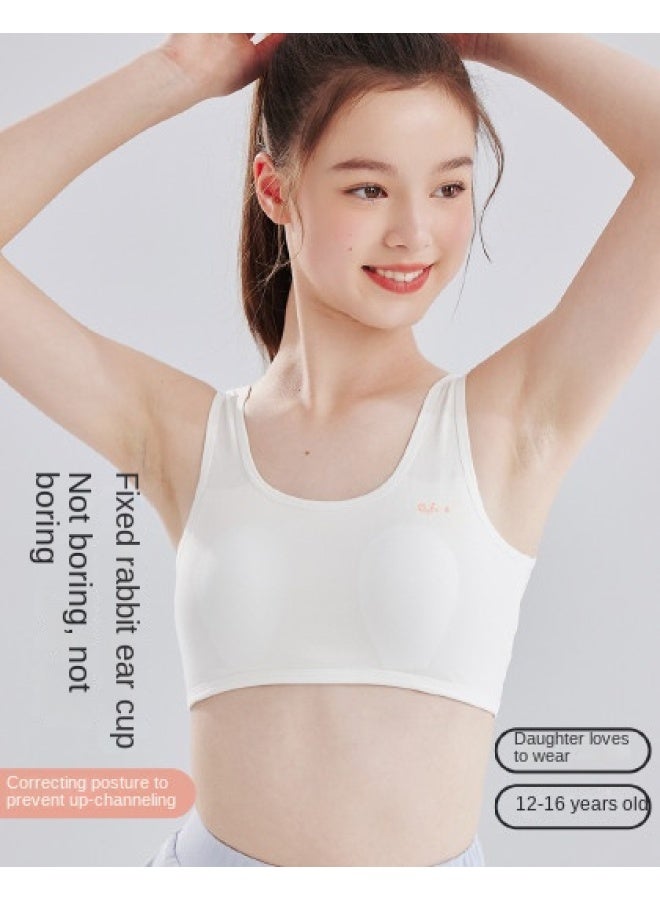 Top melon Back-shoulder Strap Type A 95% Cotton】children's Underwear Stage 2, 12-16 Years Old, Sports Anti-shock Bra - Image 1