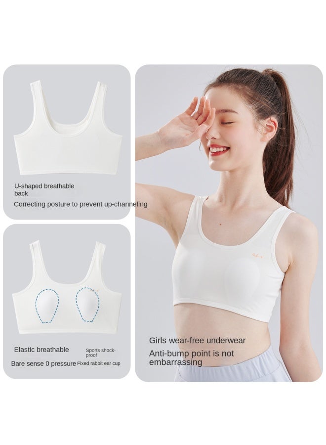 Top melon Back-shoulder Strap Type A 95% Cotton】children's Underwear Stage 2, 12-16 Years Old, Sports Anti-shock Bra - Image 3