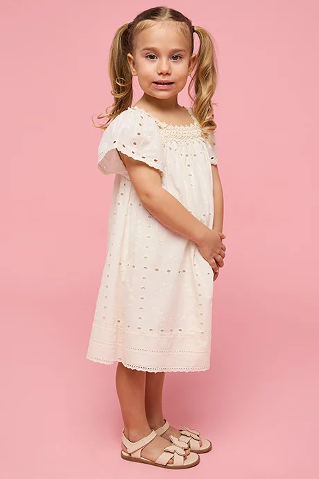 أر أند بي Schiffli A-Line Dress with Square Neck and Cap Sleeves