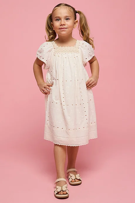 أر أند بي Schiffli A-Line Dress with Square Neck and Cap Sleeves