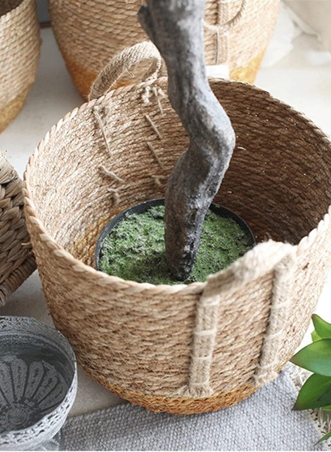 Generic Artificial Olive Tree in Pot – Realistic Design with Fine Trunk  - Image 3