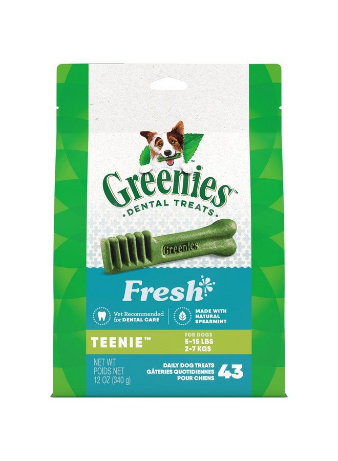 Greenies Teenie Natural Dental Care Dog Treats Mint Fresh Flavor, 12 oz. Pouch (43 Treats) - Image 1