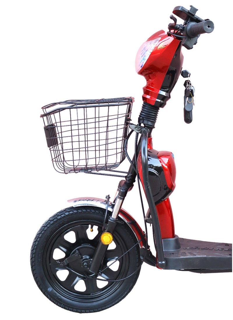 CHENXN - Electric Bike With Good Brushless Motor - Image 1