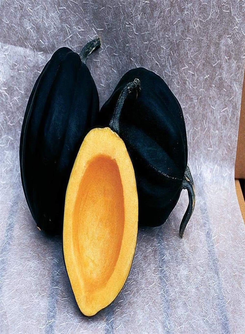 GGOOT Germination Seeds: Table Ace Hybrid Squash 30 Seed