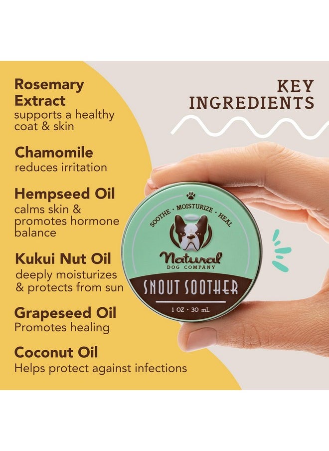 شركة Natural Dog - بلسم أنف الكلاب Snout Soother، عبوة 1 أونصة، بلسم للكلاب للأقدام والأنف، يرطب ويهدئ الأنوف الجافة المتشققة، كريم أنف نباتي للكلاب - Image 1