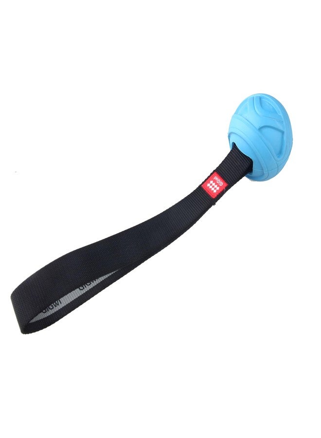 GiGwi Go! Fetch Slinger Ball for Dogs, Durable Fetch Toy for Tough Chewers, Sturdy Nylon Handle for Tug, Training, Throwing, Promotes Healthy Exercise, High Visibility, Reduces Boredom, Blue, Medium - Image 4