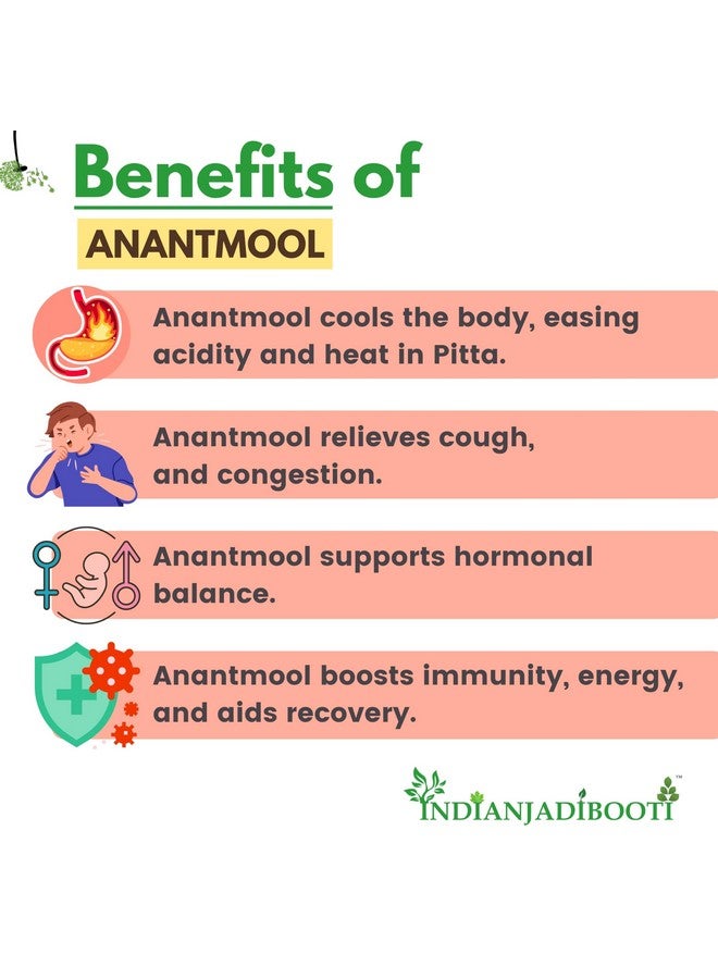 IndianJadiBooti Anantmool Hemidesmus indicus, 250 Grams Pack - Image 3