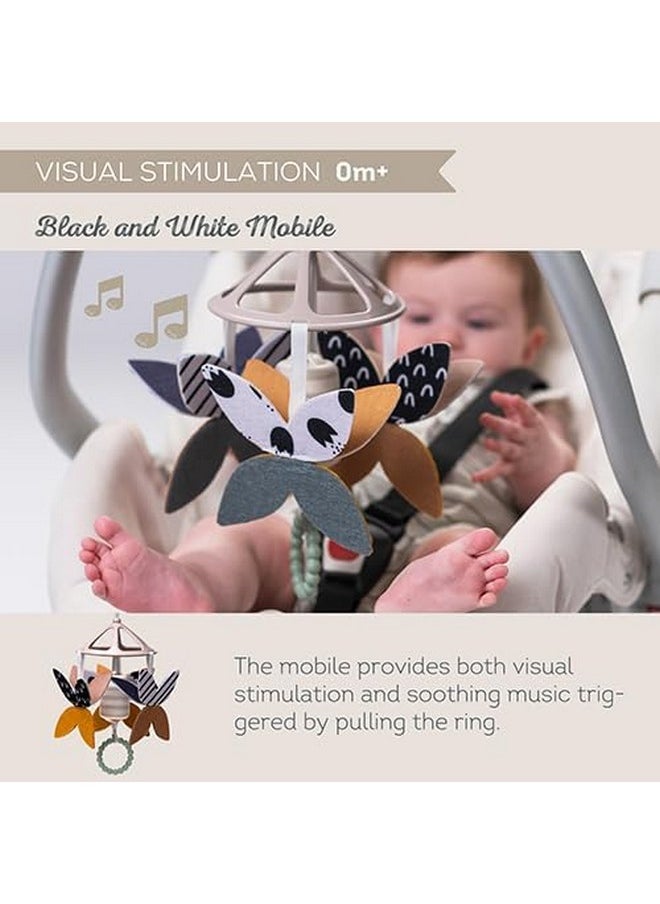 Taf Toys Taf Toys Black and White Newborn Kit - 10 Black and White Baby Toys, High Contrast Baby Toys for Newborn, Baby Essentials Must Haves, Tummy Time Toys for Motor Skills Infants Babies 0 3 6 Months  - Image 4